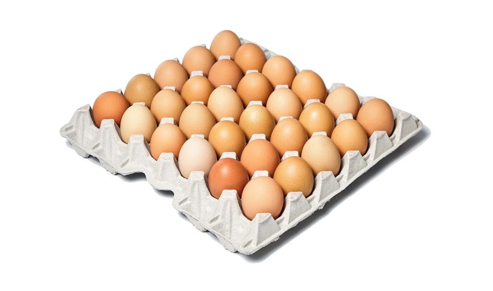 Tray 30 Free Range Eggs | Alkmonton Dairy